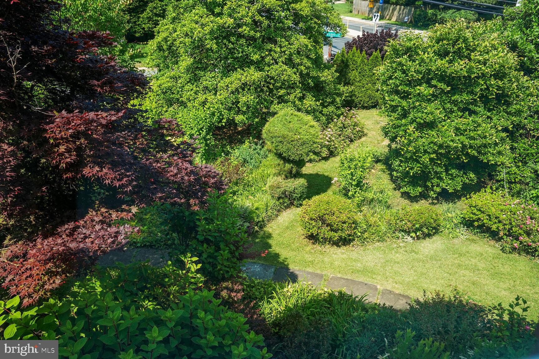 10114 Cedar Lane Kensington, MD 20895 - Photo 46 of 52