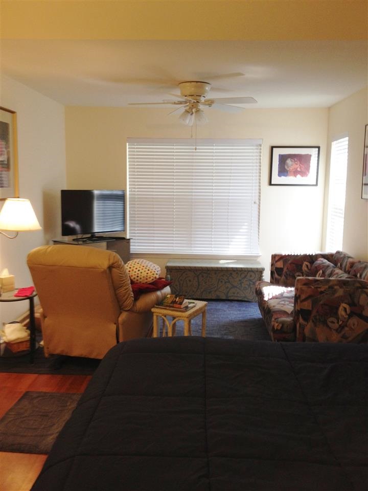 145 Seville Drive Murrells Inlet, SC 29576 - Photo 10 of 15 Gallery Image 10
