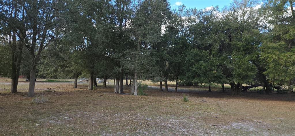 0 Jacobs Way Brooksville, FL 34601 - Photo 18 of 23 a view of street with lots of green space