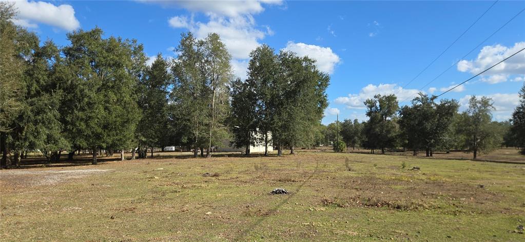 0 Jacobs Way Brooksville, FL 34601 - Photo 4 of 23 a view of open space with trees