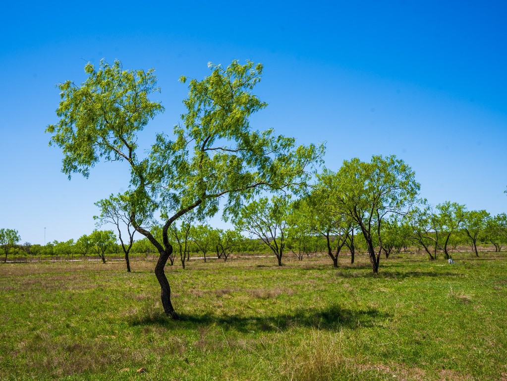 0 Springwood Ranch Johnson City, TX 78636 - Photo 13 of 19 View of yard featuring a rural view