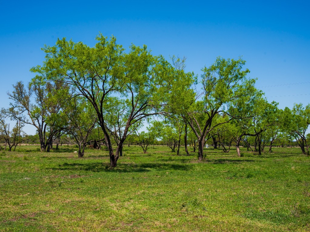 0 Springwood Ranch Johnson City, TX 78636 - Photo 14 of 19 View of yard