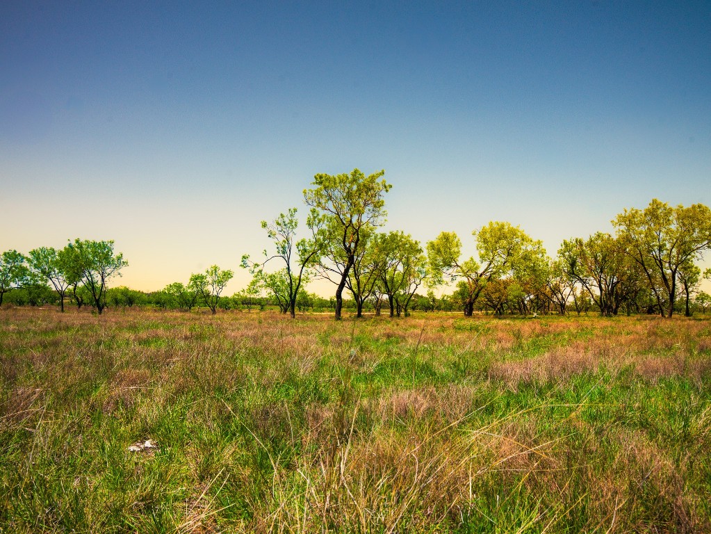 0 Springwood Ranch Johnson City, TX 78636 - Photo 17 of 19 View of landscape featuring a rural view