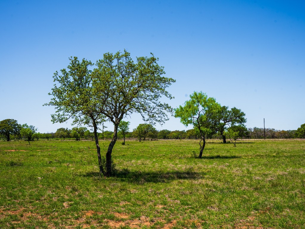0 Springwood Ranch Johnson City, TX 78636 - Photo 4 of 19 View of nature with a rural view