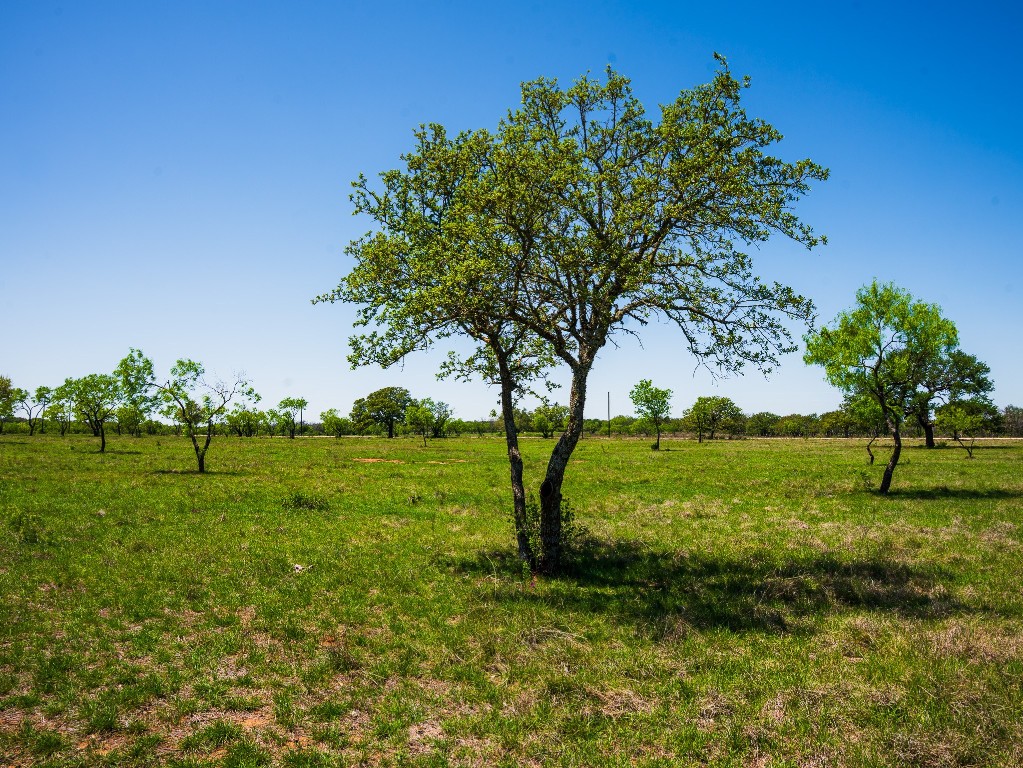 0 Springwood Ranch Johnson City, TX 78636 - Photo 5 of 19 View of nature featuring a rural view