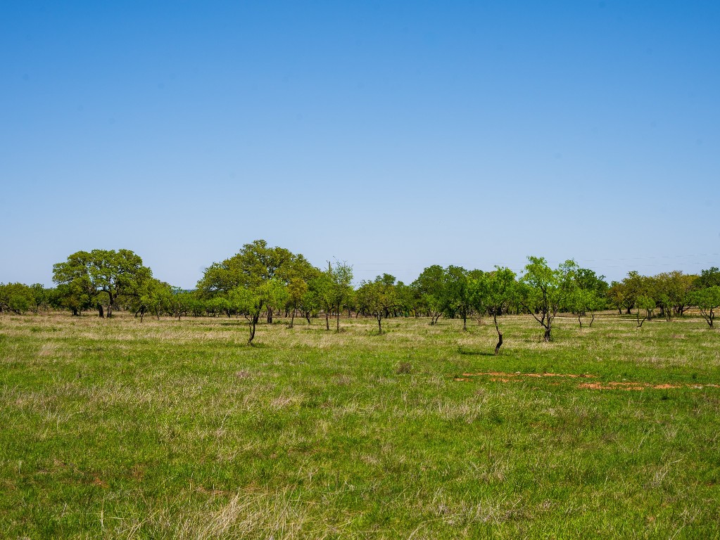 0 Springwood Ranch Johnson City, TX 78636 - Photo 8 of 19 View of landscape featuring a rural view