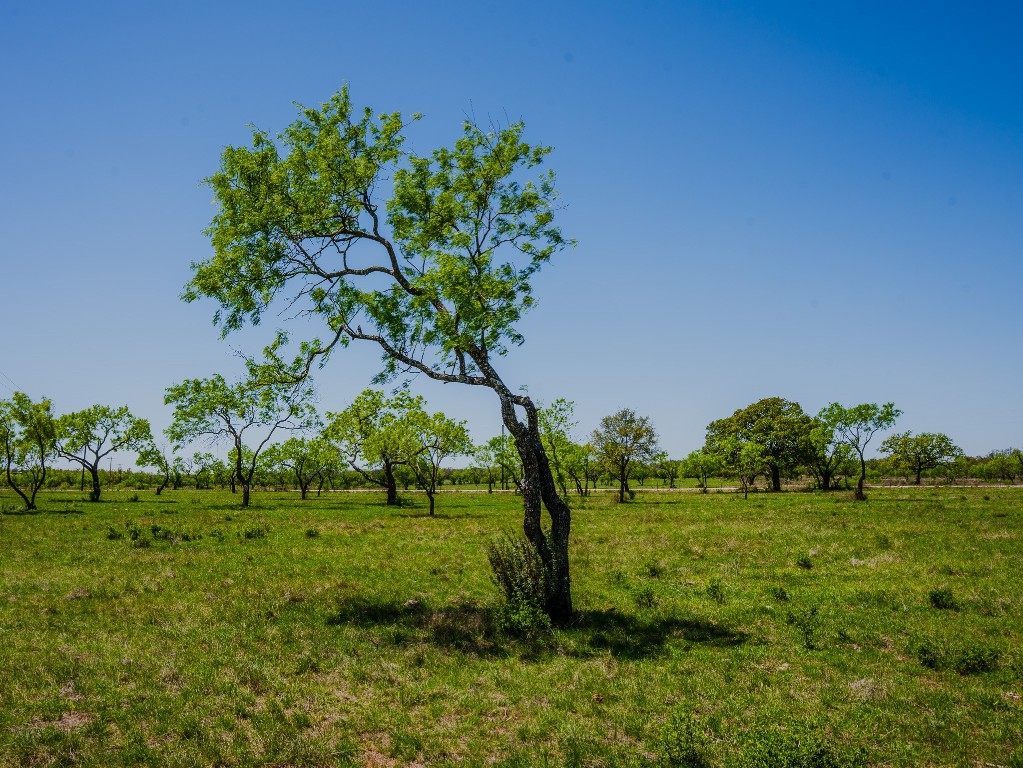 0 Springwood Ranch Johnson City, TX 78636 - Photo 10 of 19 View of landscape featuring a rural view