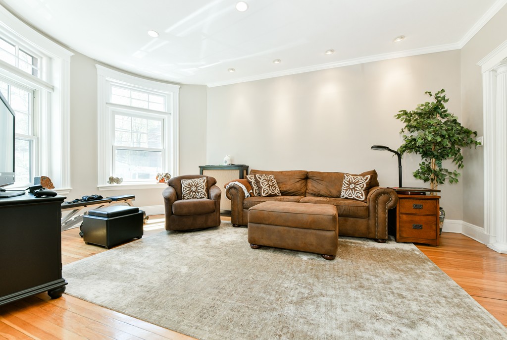 149 Winthrop Road, Unit 3 Brookline, MA 02445 - Photo 8 of 18 a living room with furniture or couch and a potted plant