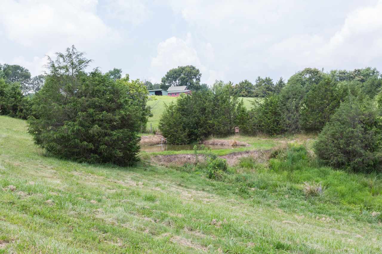 1780 Laurel Hill Road Verona, VA 24482 - Photo 35 of 36 Gallery Image 35