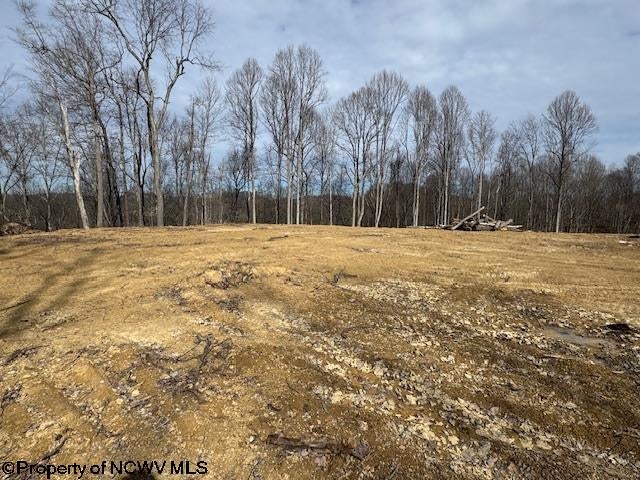 Tbd Green Valley Road Bridgeport, WV 26330 - Photo 10 of 19 Gallery Image 10
