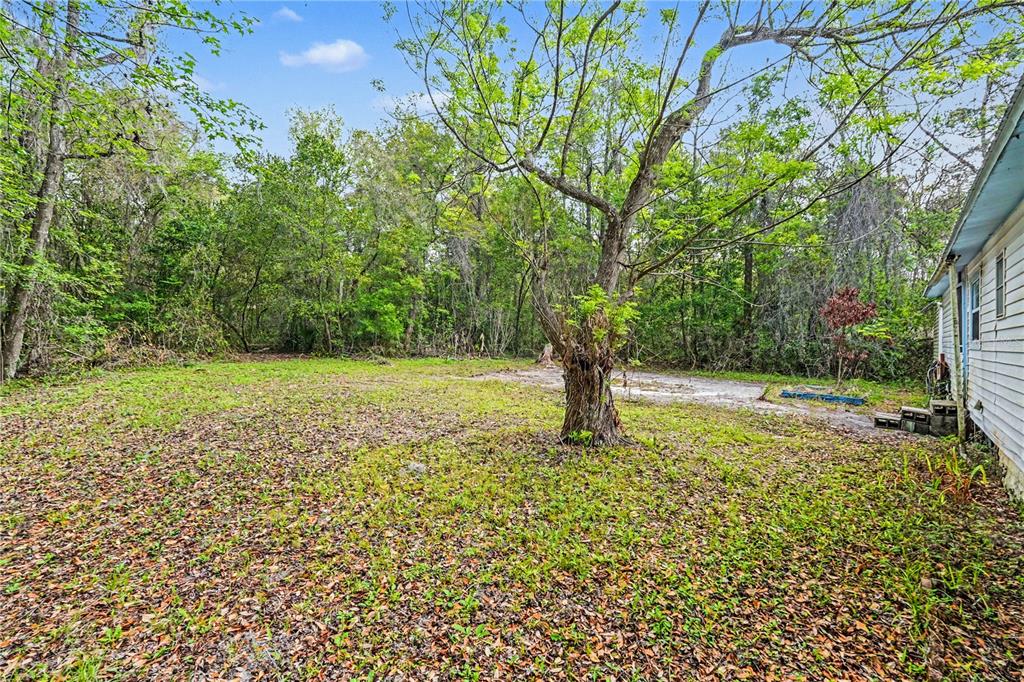 24265 Duffield Road Brooksville, FL 34601 - Photo 21 of 24 Gallery Image 21