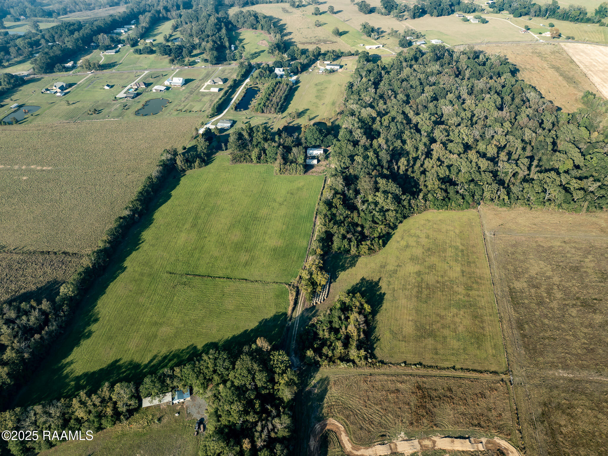 0 Gardenia Washington, LA 70589 - Photo 4 of 8 DJI_0241