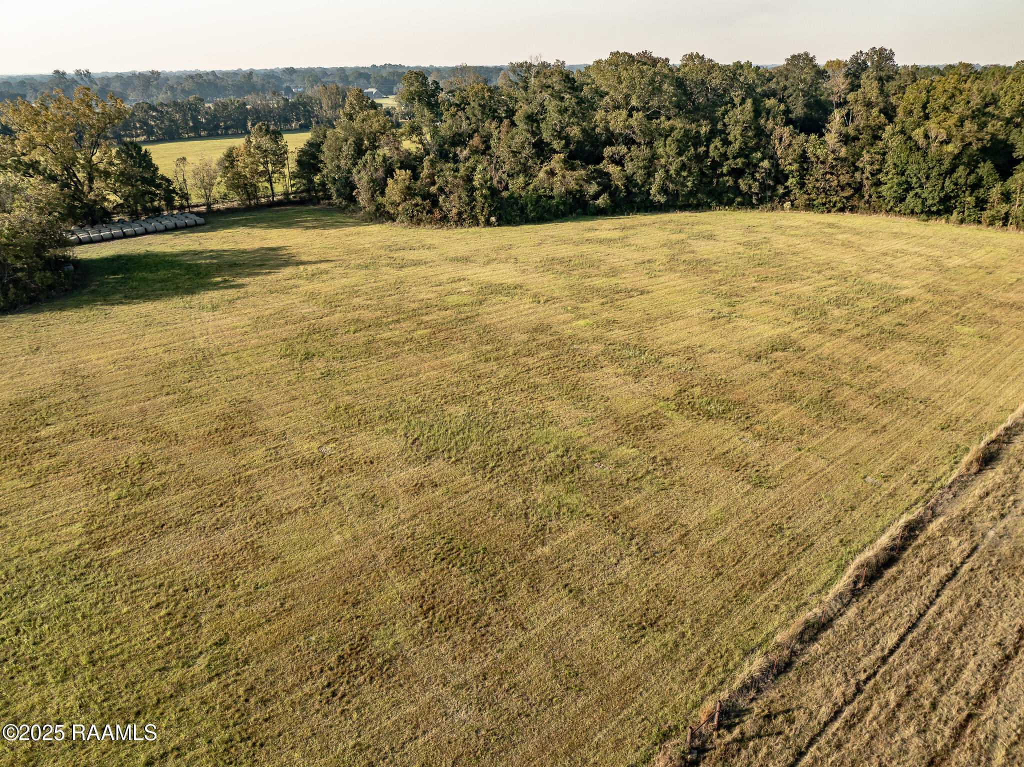 0 Gardenia Washington, LA 70589 - Photo 8 of 8 DJI_0260