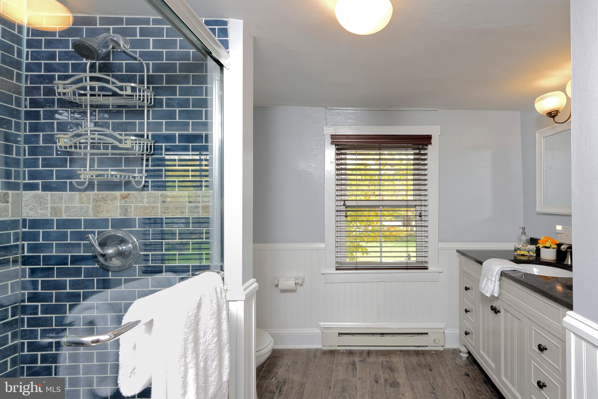 21091 Unison Road Middleburg, VA 20117 - Photo 30 of 65 Renovated full bath w/granite & large tiled shower