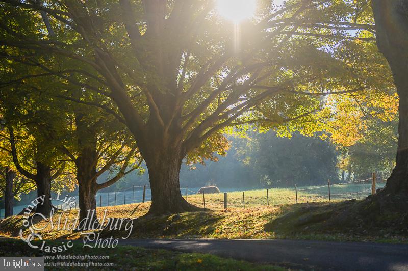21091 Unison Road Middleburg, VA 20117 - Photo 53 of 65 The village is surrounded by working farms.