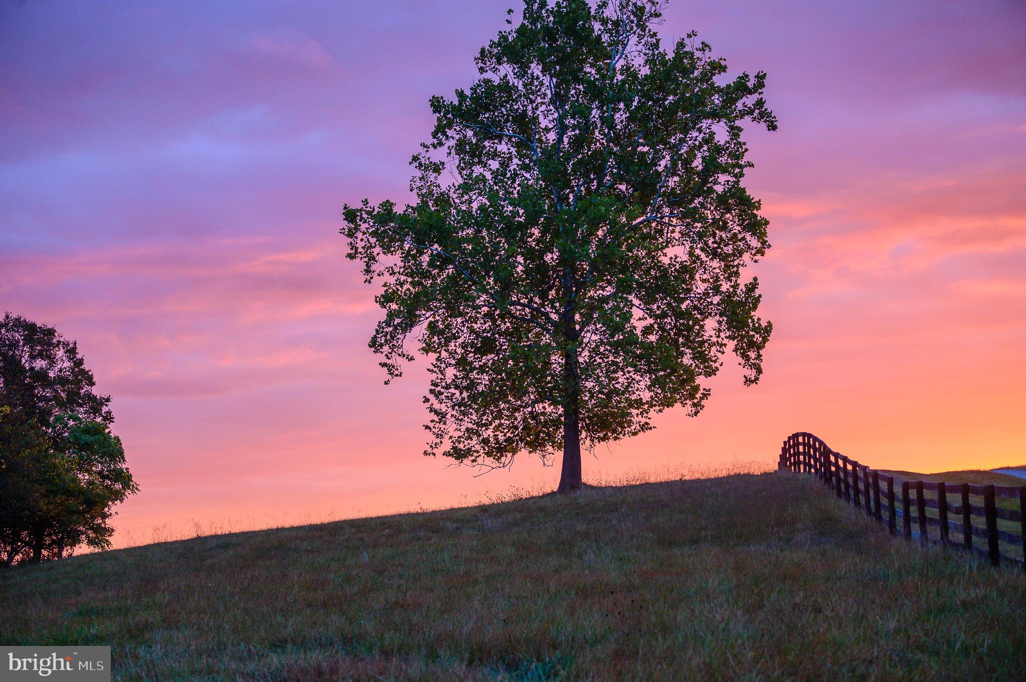 21091 Unison Road Middleburg, VA 20117 - Photo 65 of 65 Enjoy lovely sunsets