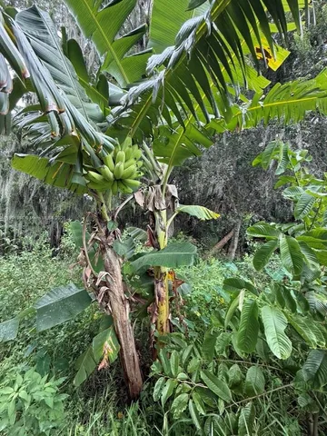 a view of a golf course with a lake