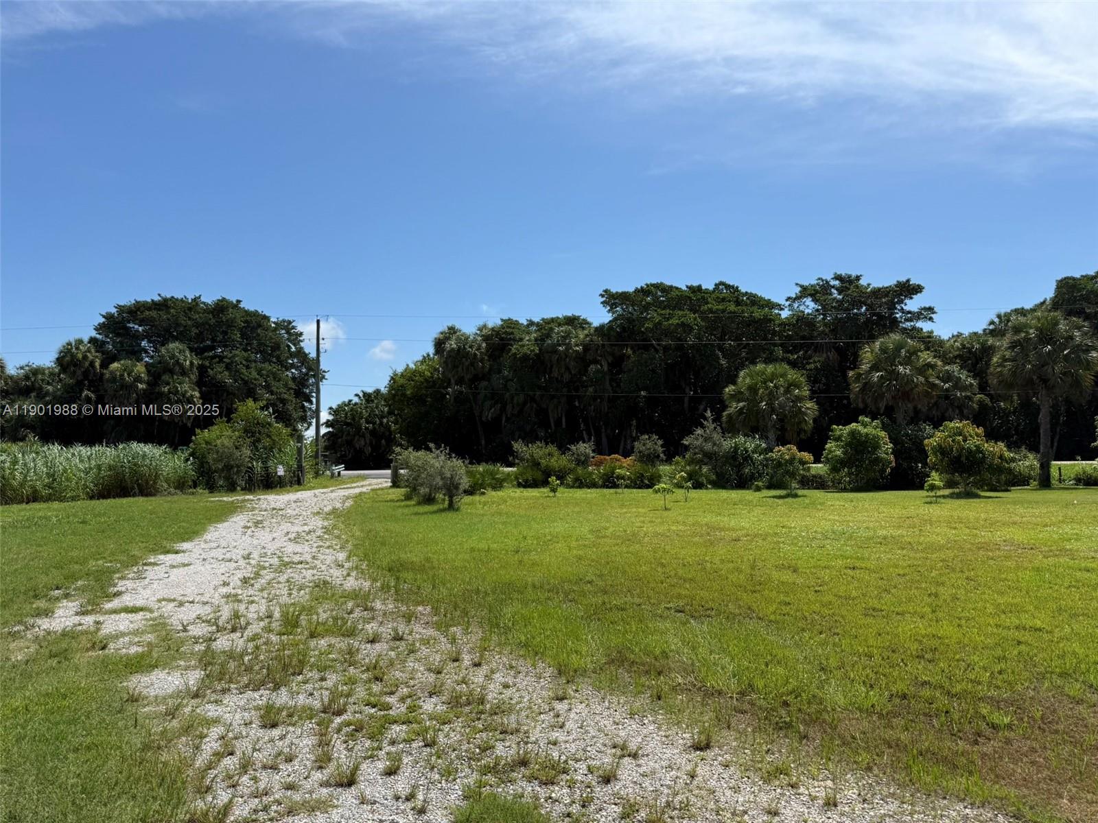 12600 Southwest Conners Highway Okeechobee, FL 34974 - Photo 18 of 60 a view of a grassy field with trees