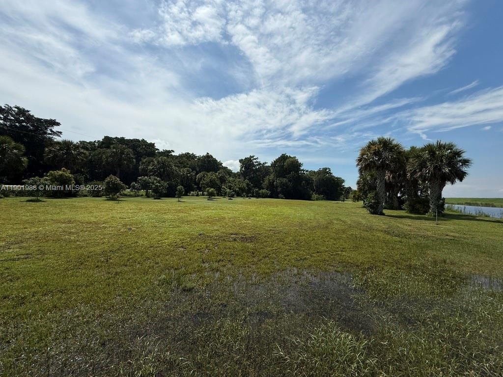 12600 Southwest Conners Highway Okeechobee, FL 34974 - Photo 21 of 60 a view of a green field with wooden fence