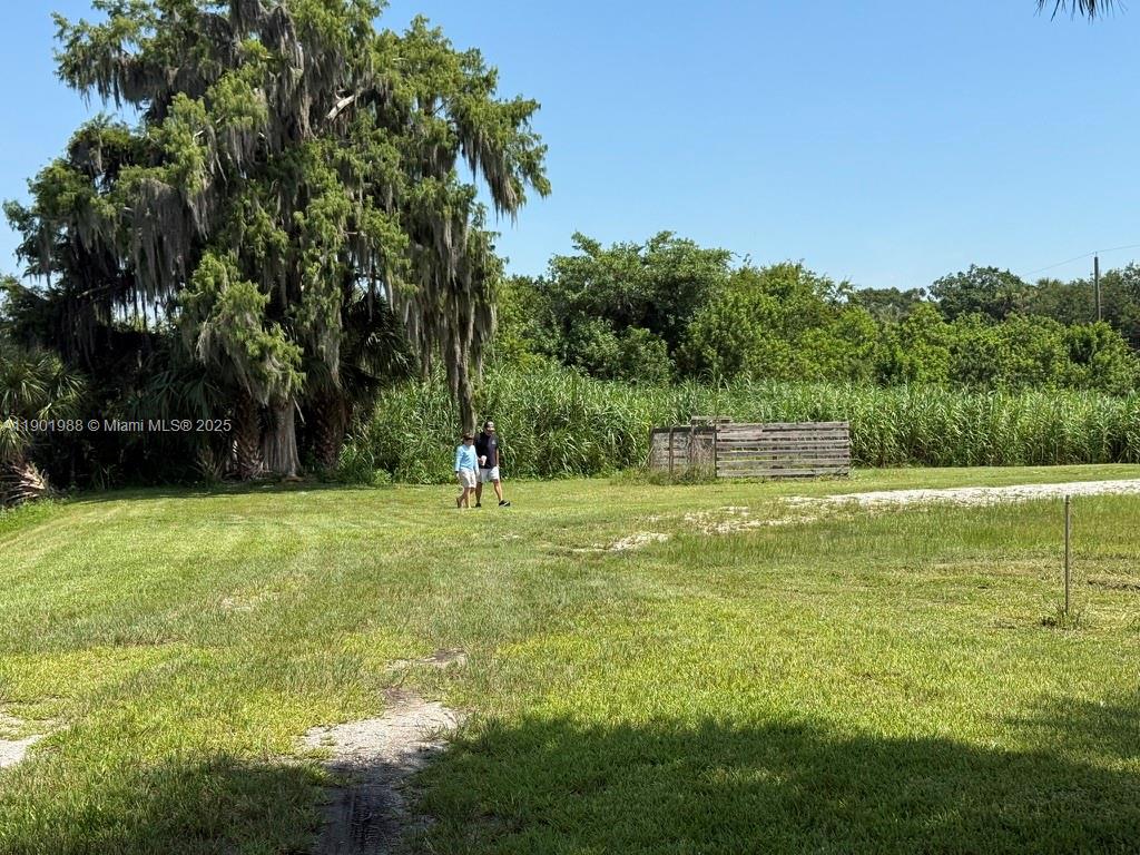 12600 Southwest Conners Highway Okeechobee, FL 34974 - Photo 25 of 60 a view of a garden