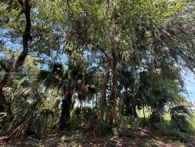 a view of swimming pool