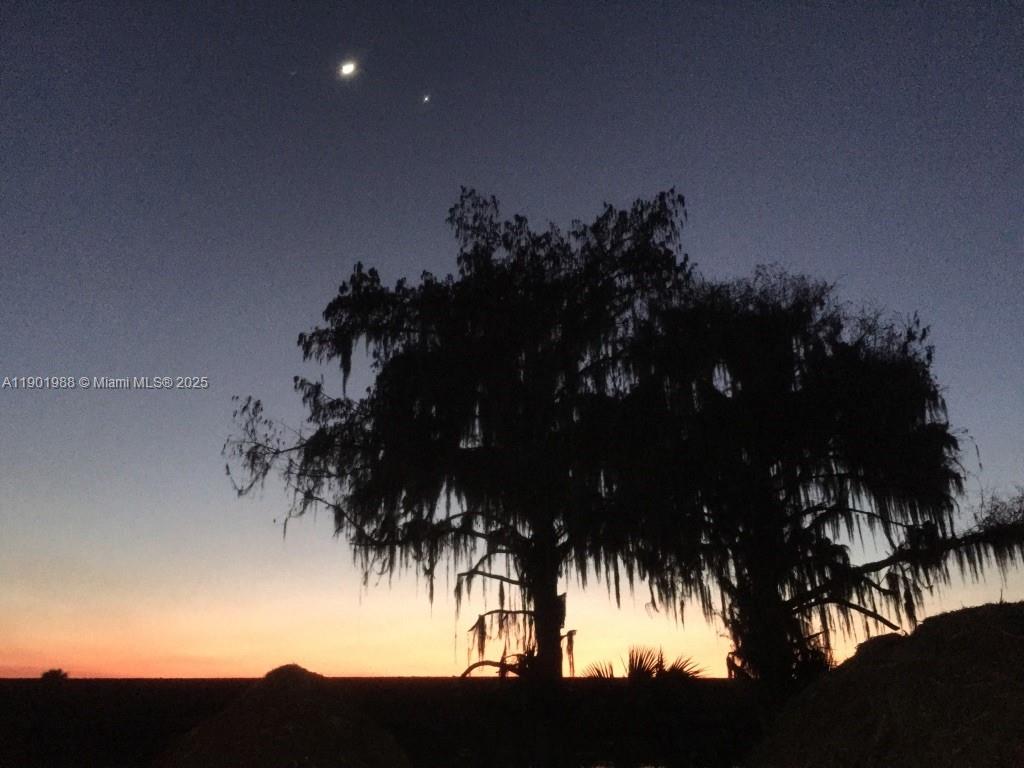 12600 Southwest Conners Highway Okeechobee, FL 34974 - Photo 3 of 60 a view of a large tree