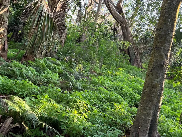 a view of outdoor space sign and an umbrella