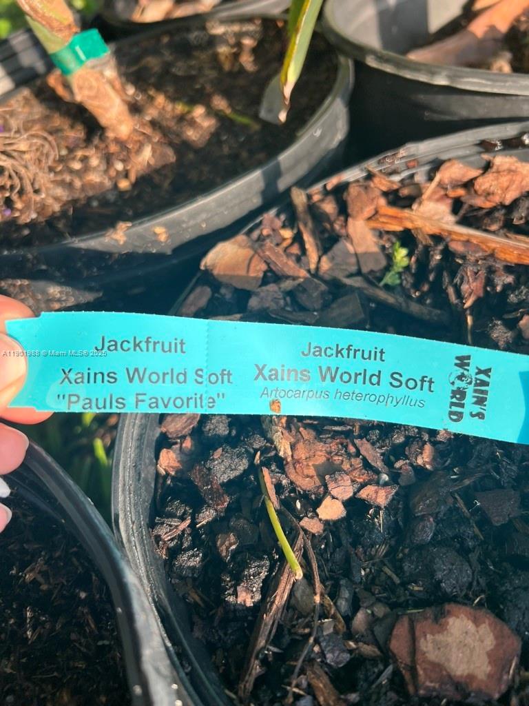 12600 Southwest Conners Highway Okeechobee, FL 34974 - Photo 34 of 60