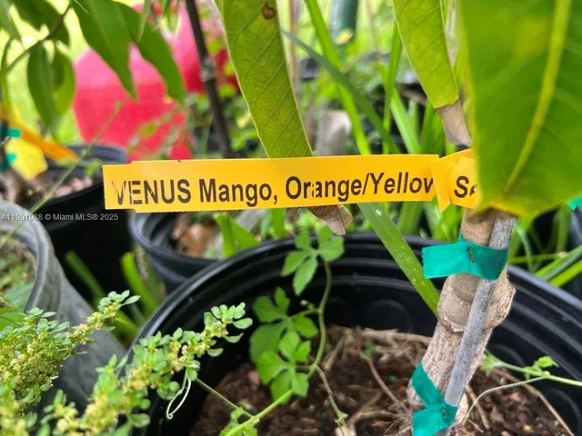 a picture of a plant