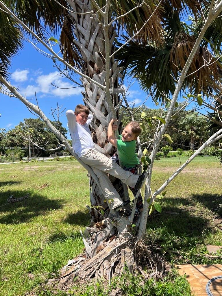 12600 Southwest Conners Highway Okeechobee, FL 34974 - Photo 37 of 60 a backyard of a house with a yard and outdoor seating