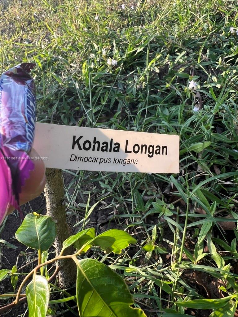 12600 Southwest Conners Highway Okeechobee, FL 34974 - Photo 39 of 60 a sign that is sitting on a pole