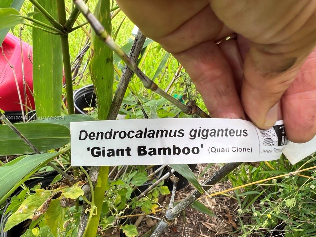 12600 Southwest Conners Highway Okeechobee, FL 34974 - Photo 40 of 60