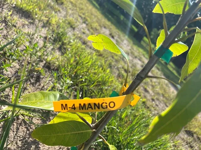 a view of outdoor space with lake view