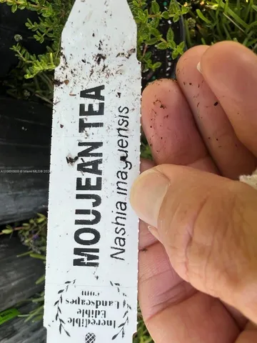 a view of a back yard