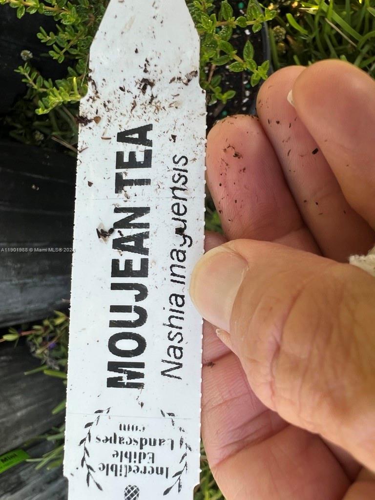 12600 Southwest Conners Highway Okeechobee, FL 34974 - Photo 47 of 60 wooden floor with white walls