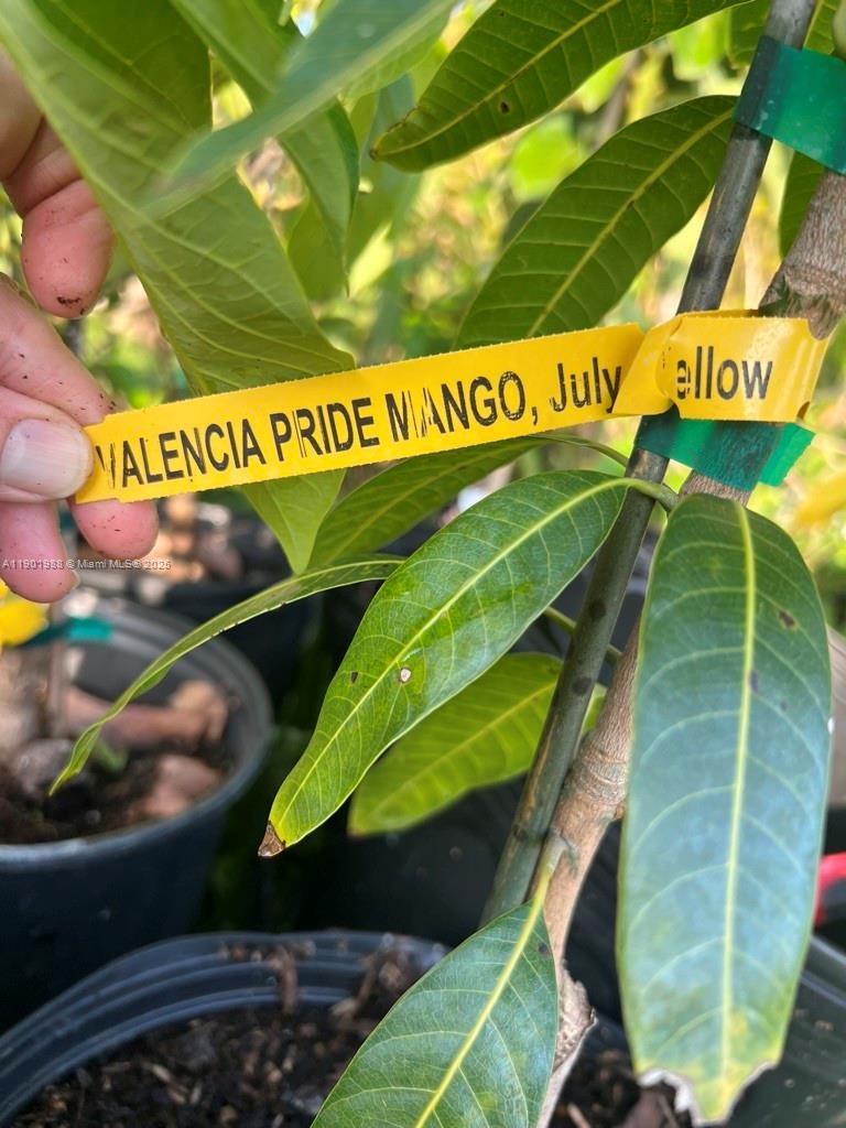 12600 Southwest Conners Highway Okeechobee, FL 34974 - Photo 48 of 60 a sign broad on a street