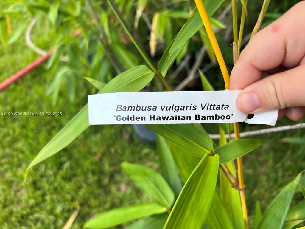 12600 Southwest Conners Highway Okeechobee, FL 34974 - Photo 49 of 60 a view of an outdoor space and a yard