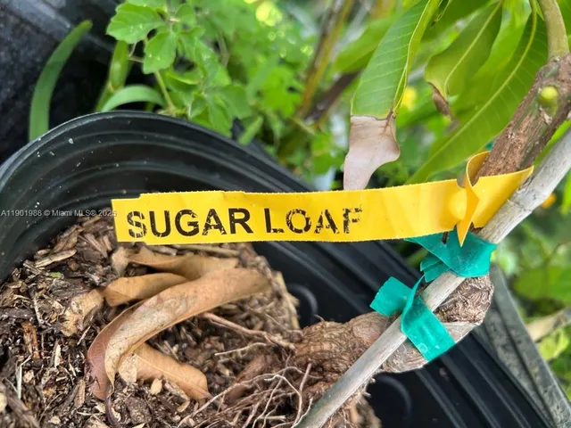 $360,000 | 12600 Southwest Conners Highway, Okeechobee, FL 34974