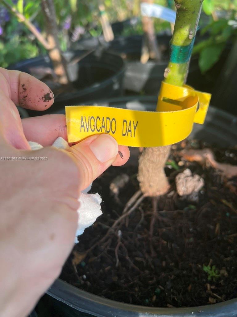 12600 Southwest Conners Highway Okeechobee, FL 34974 - Photo 52 of 60 a view of swimming pool