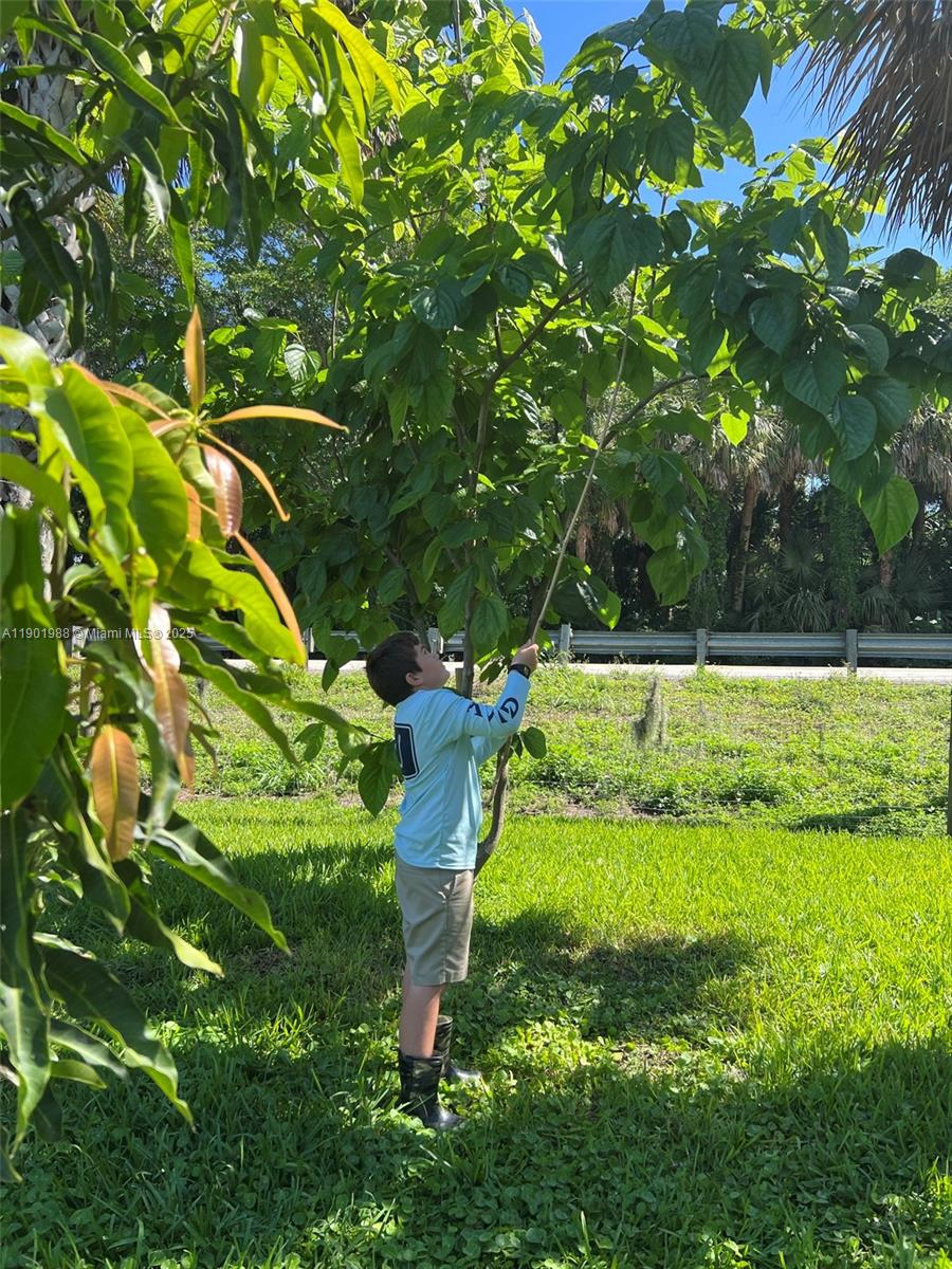 12600 Southwest Conners Highway Okeechobee, FL 34974 - Photo 53 of 60 a backyard of a house with lots of green space