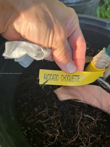 $360,000 | 12600 Southwest Conners Highway, Okeechobee, FL 34974