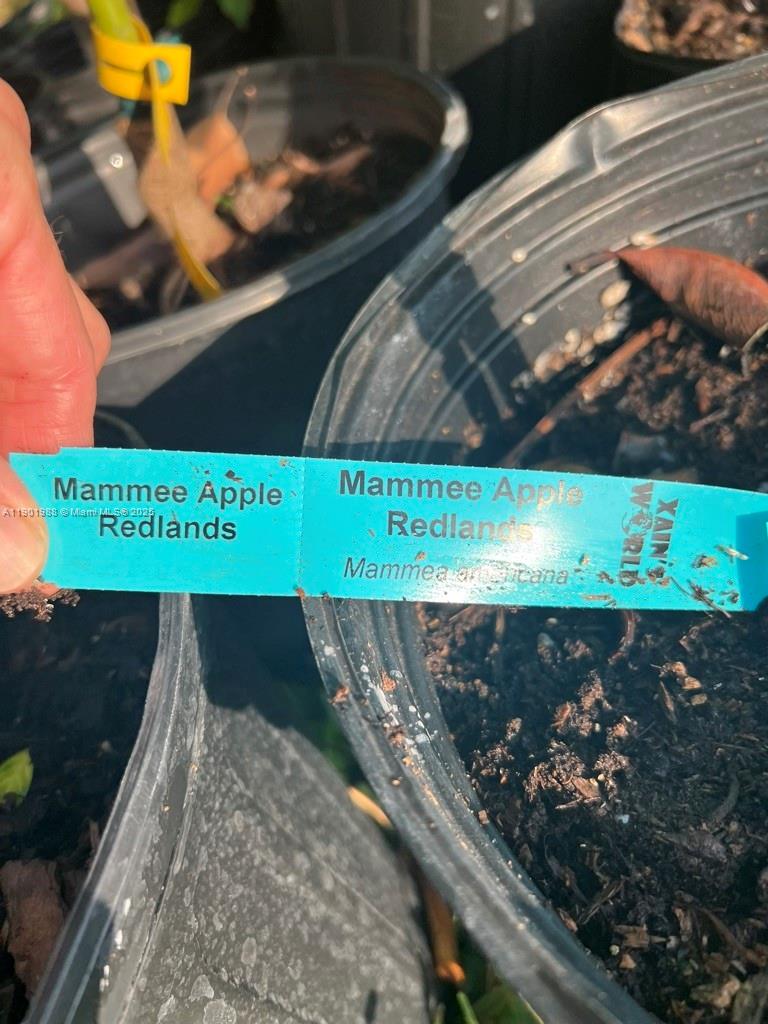 12600 Southwest Conners Highway Okeechobee, FL 34974 - Photo 56 of 60 a view of a back yard