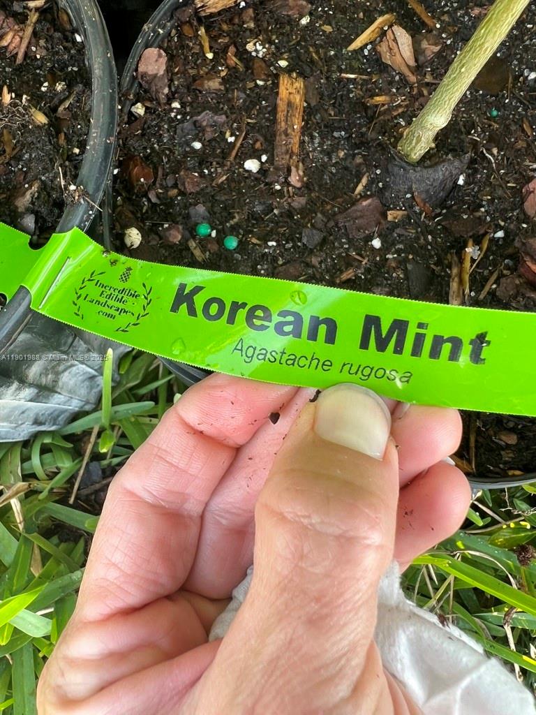 12600 Southwest Conners Highway Okeechobee, FL 34974 - Photo 58 of 60 a view of yard with green space