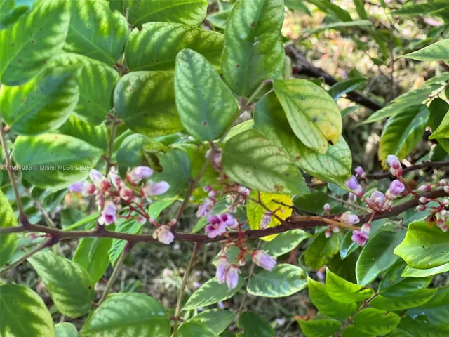 $360,000 | 12600 Southwest Conners Highway, Okeechobee, FL 34974