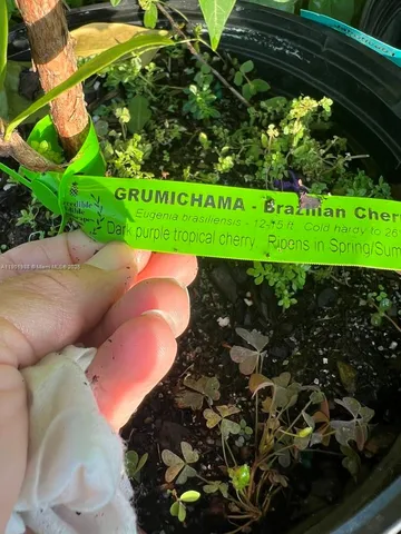 $360,000 | 12600 Southwest Conners Highway, Okeechobee, FL 34974