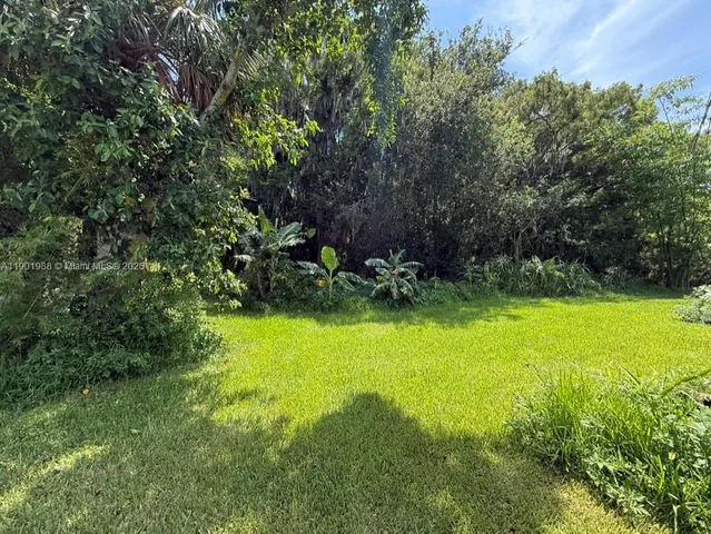 a view of a garden with lawn chairs