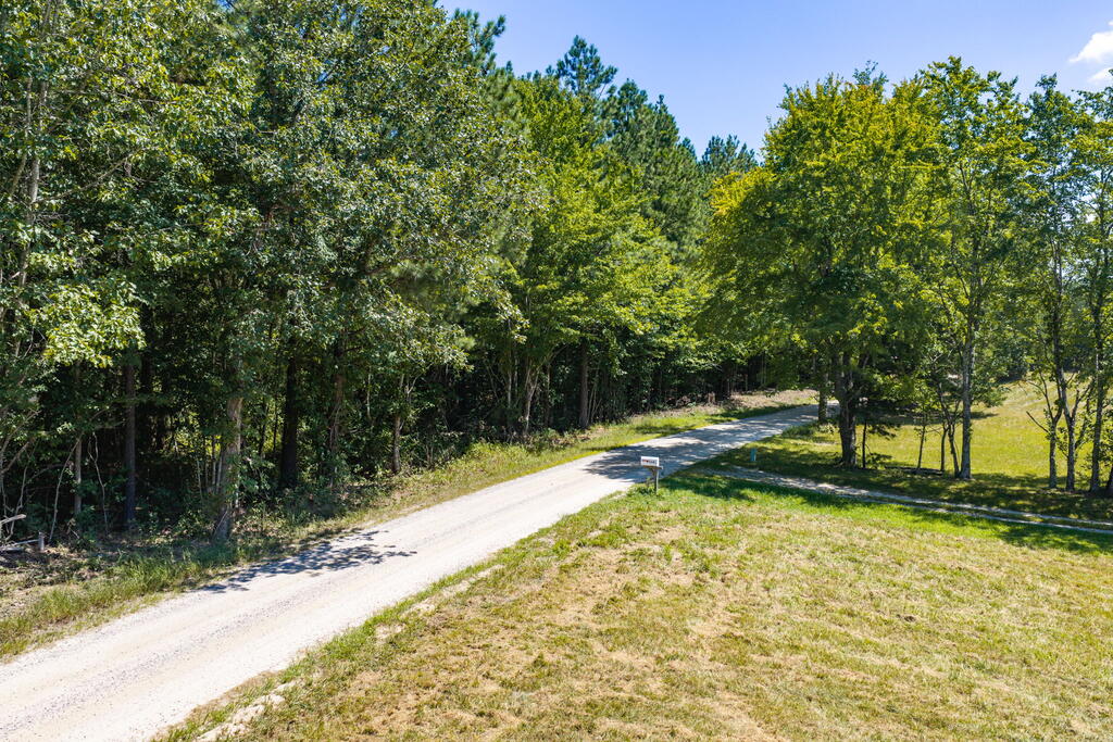 Davis Lowground Road, Unit 9 Keysville, VA 23947 - Photo 12 of 17 Gallery Image 12