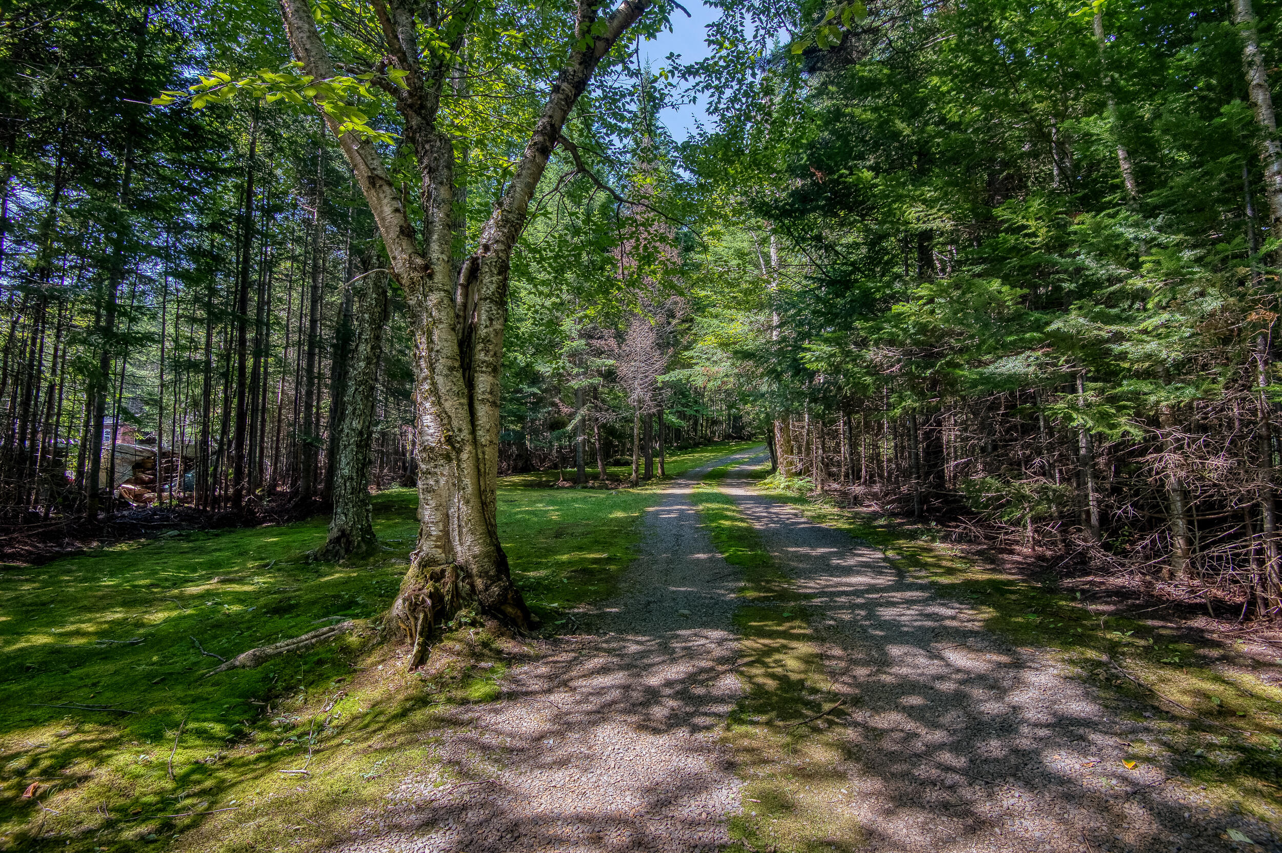 416 Rumford Road Rangeley, ME 04964 - Photo 16 of 39 _JRV8719_HDR