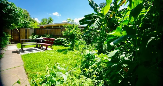 a view of a backyard