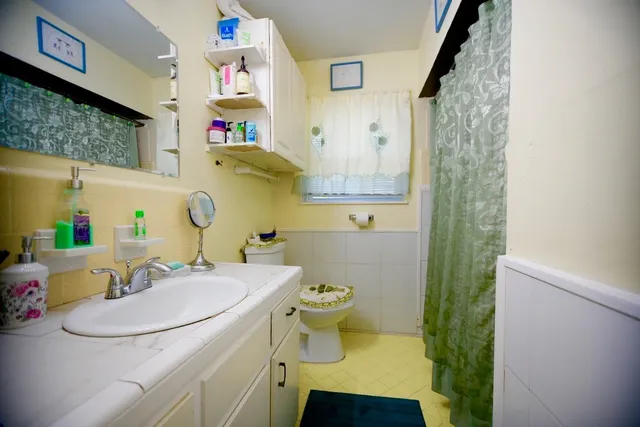 a view of park with large trees